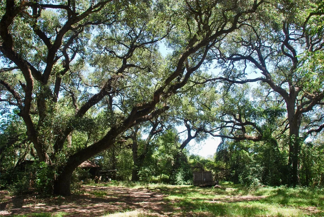 Photo of 29 County Road 77b