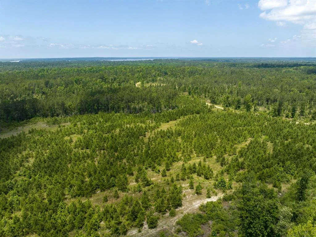 Photo of TBD Fm 355