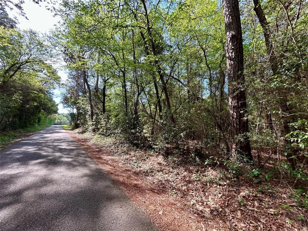 Photo of TBD Copperhead Road