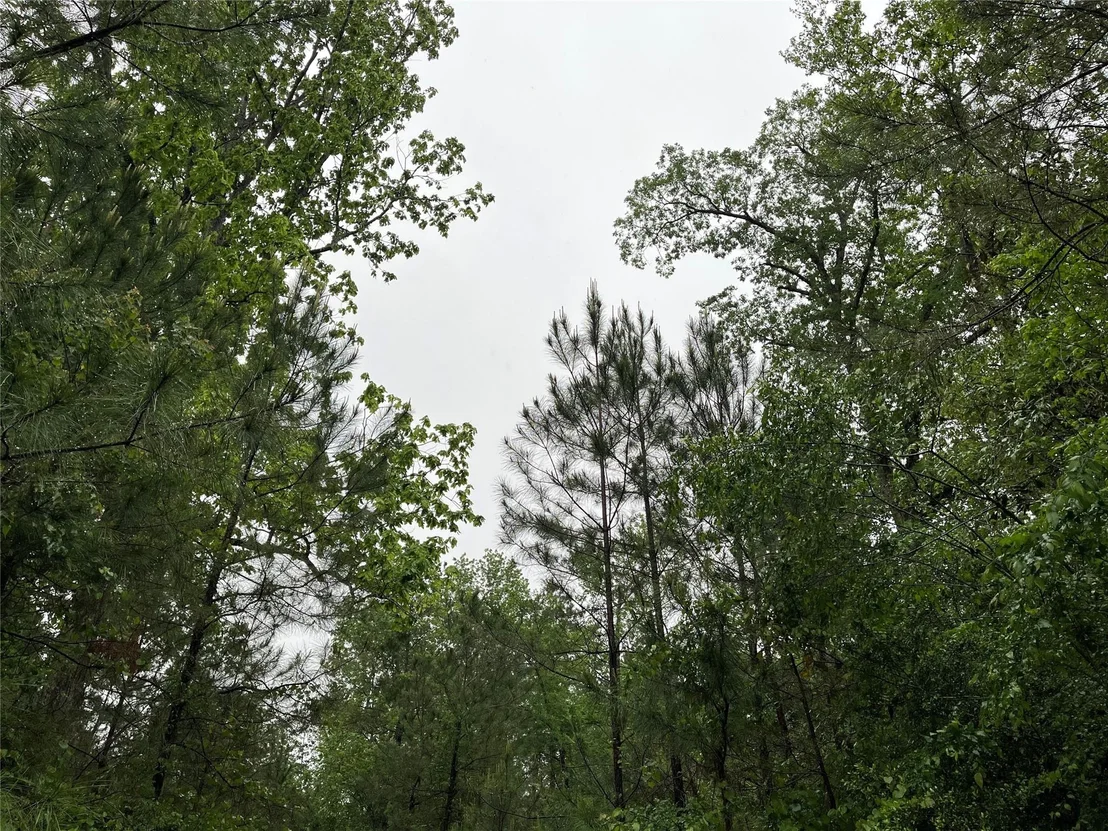 Photo of 15821 Ridge Rock Road