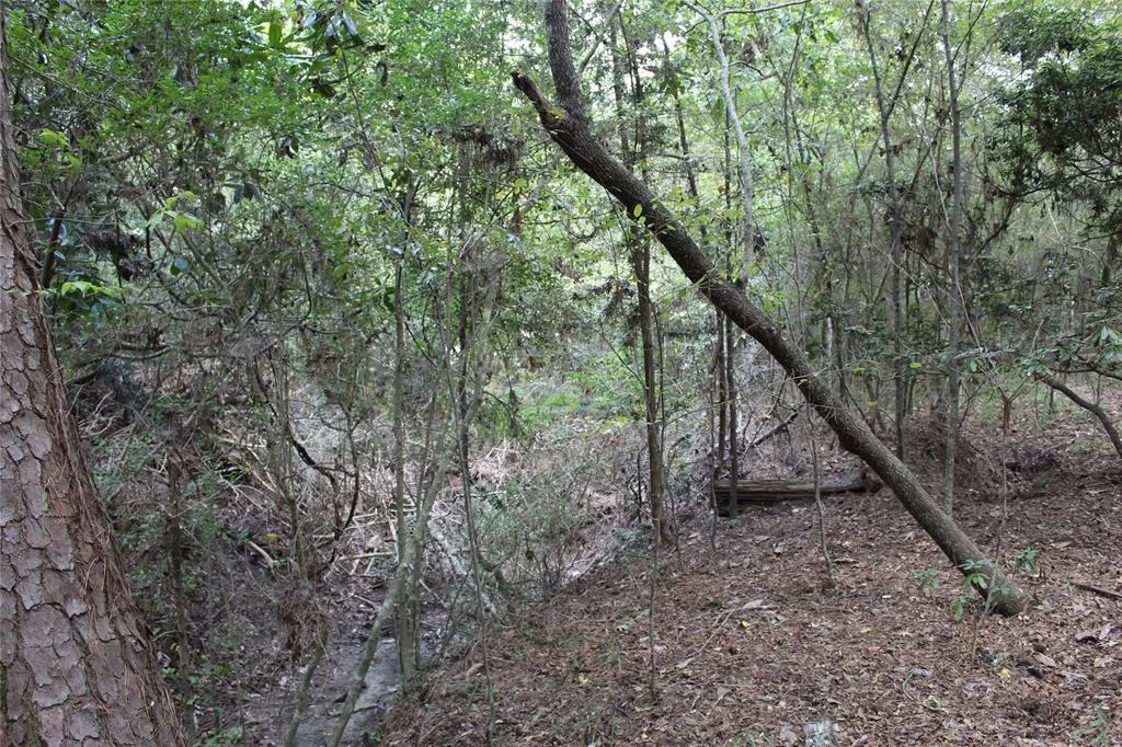 Photo of 1901 Lakeview Estates Drive