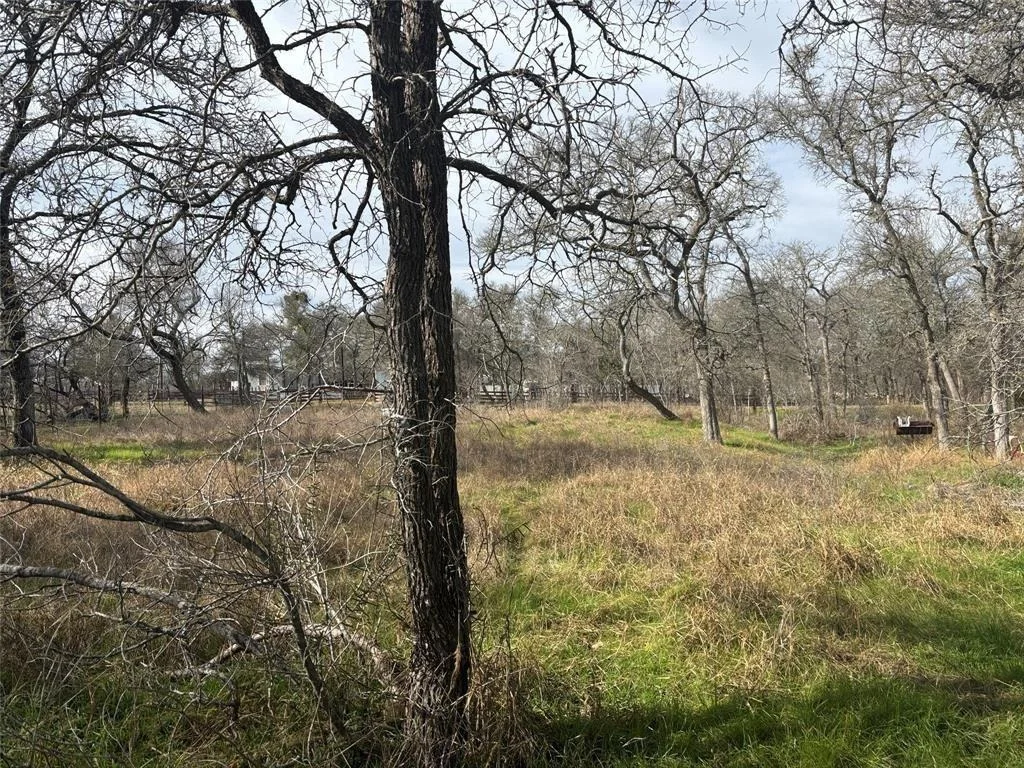 Photo of 245 Elm Forest Loop