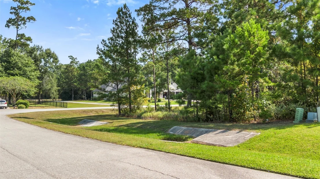 Photo of 27919 Inspire Crest Lane