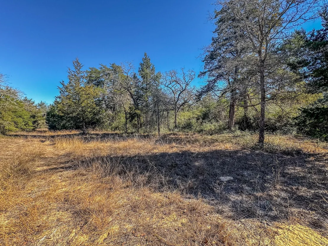 Photo of 1202 Moonglow Lane