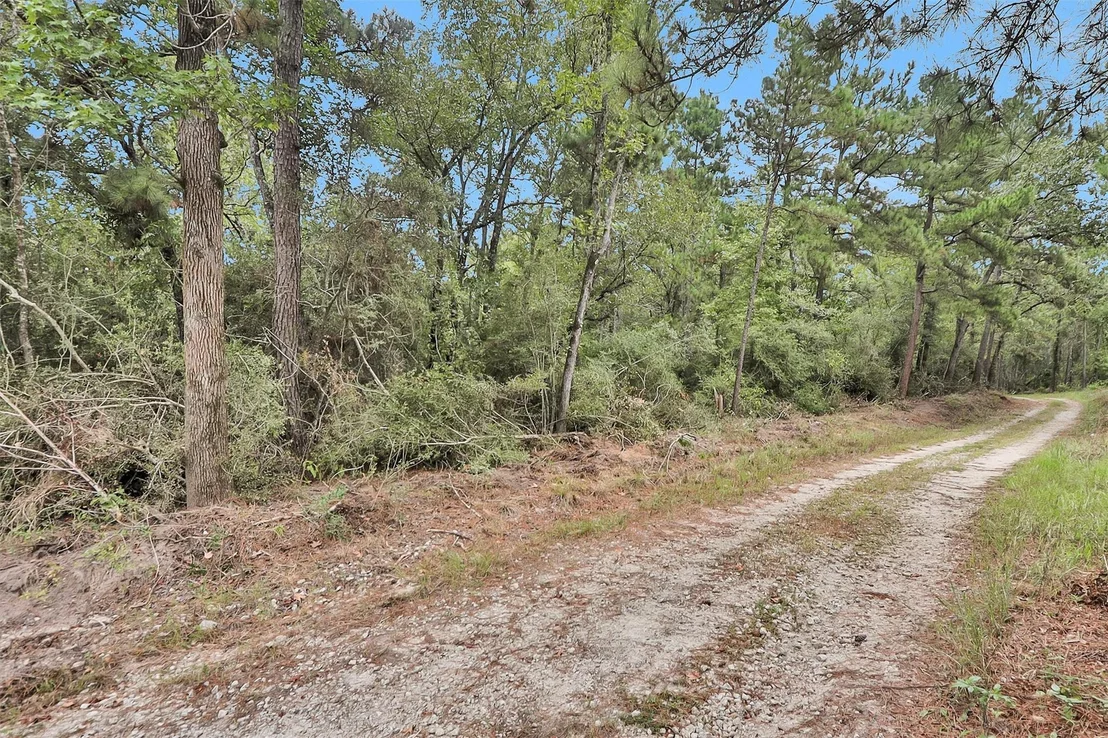 Photo of 328 Dogwood Forest Trail