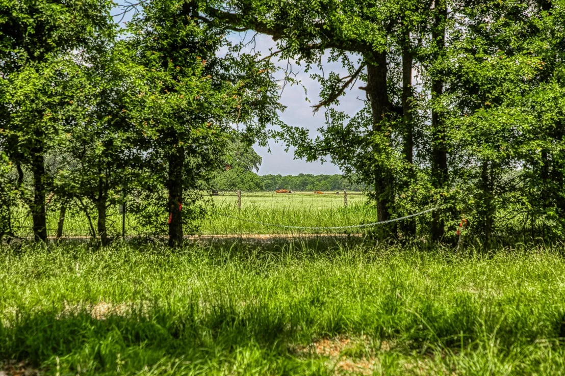 Photo of 10314 County Road 276