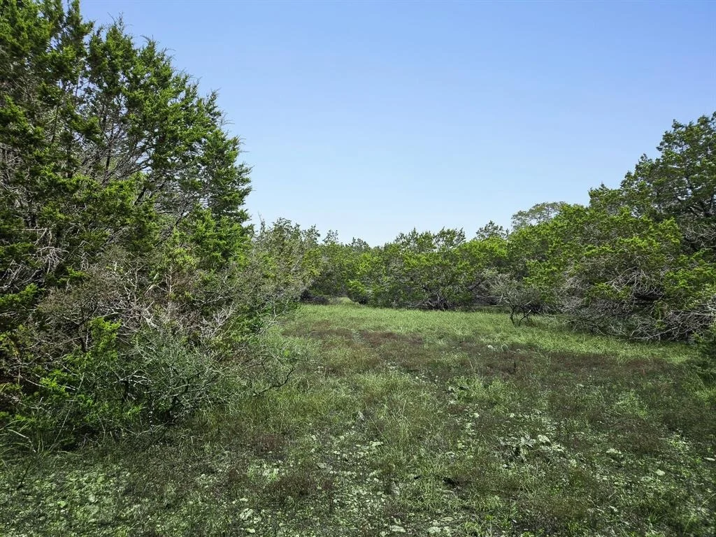 Photo of 157 Verbena Circle
