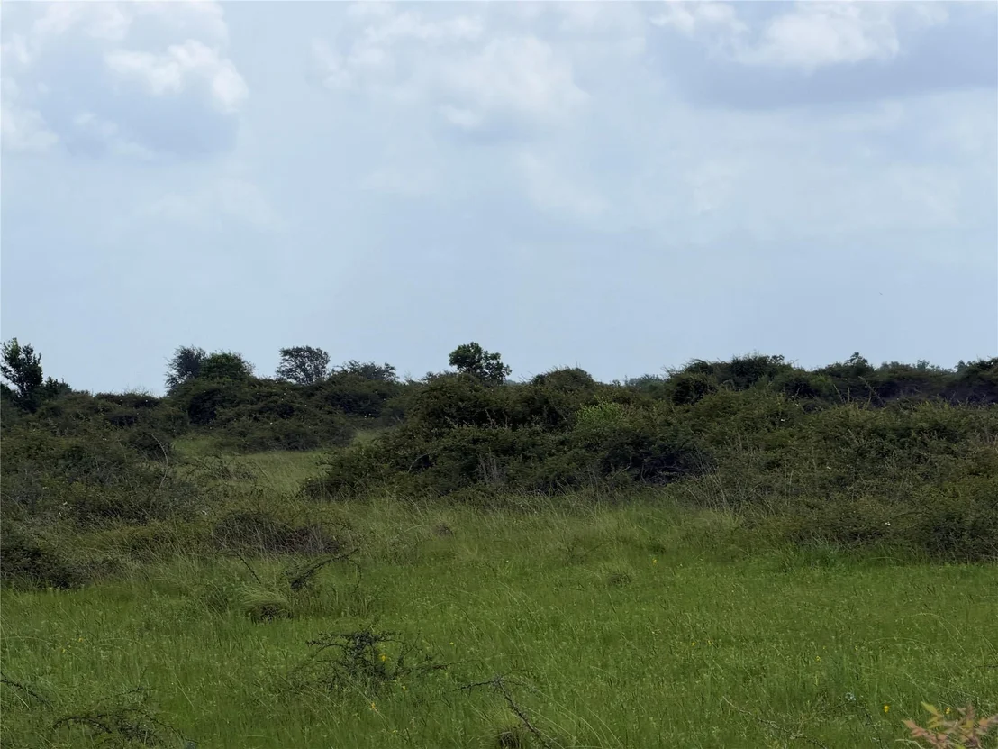 Photo of 0 Fm 616