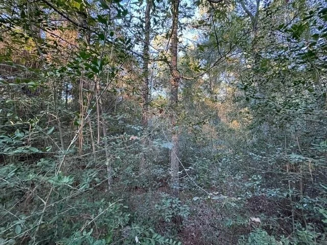 Photo of 70 Quail Trail