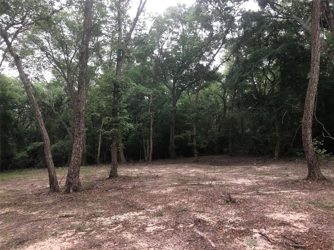 Photo of 1841 Pr 1315