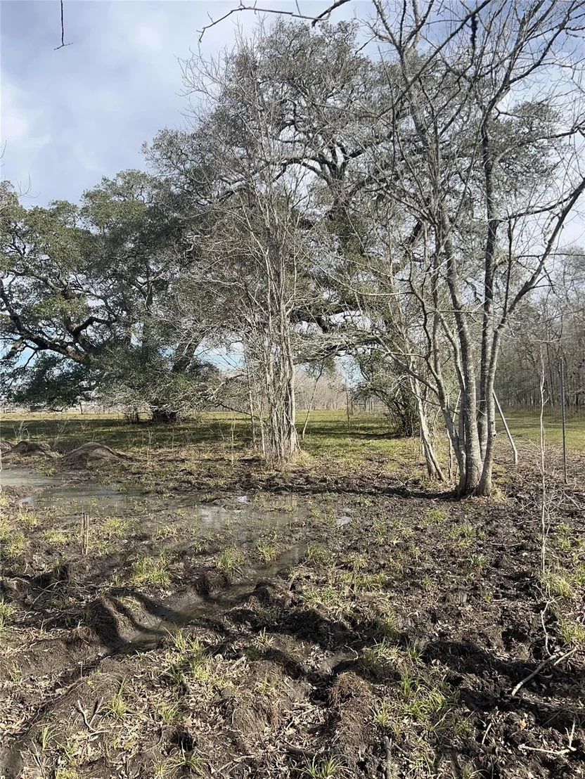 Photo of 7017 County Road 164