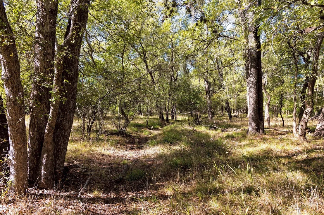 Photo of 202 County Road 142b