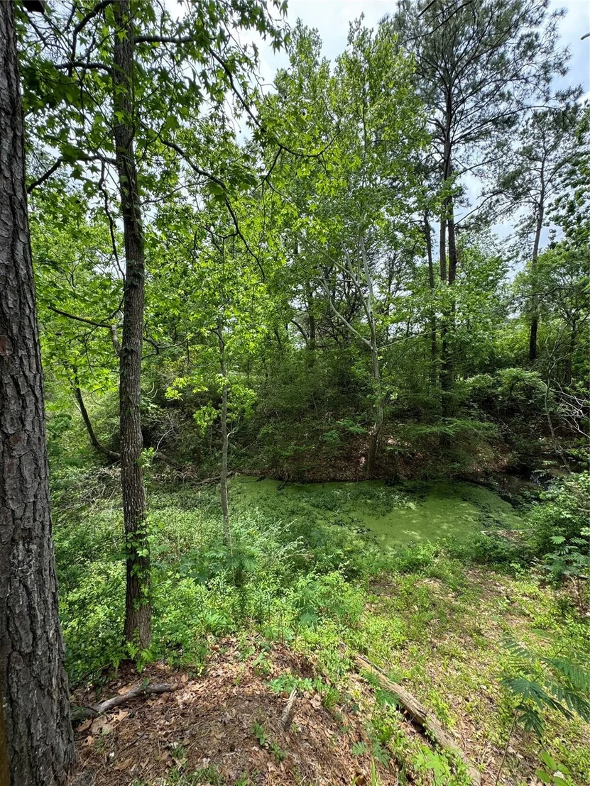 Photo of 122 Barbil Lane