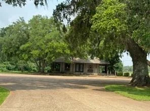 Photo of 383 Brahman Trail