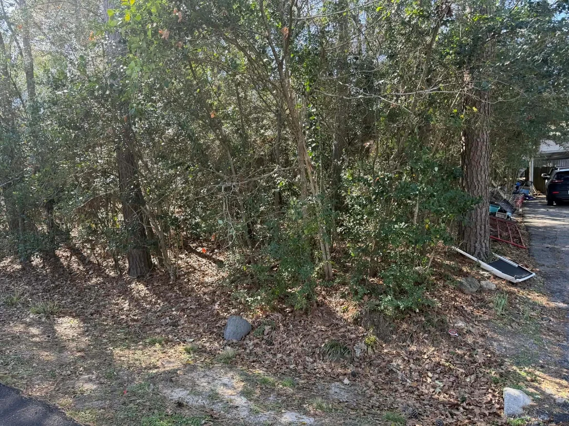 Photo of 137 Paradise Valley Drive