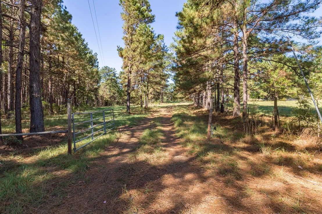 Photo of 1152 Loving Road