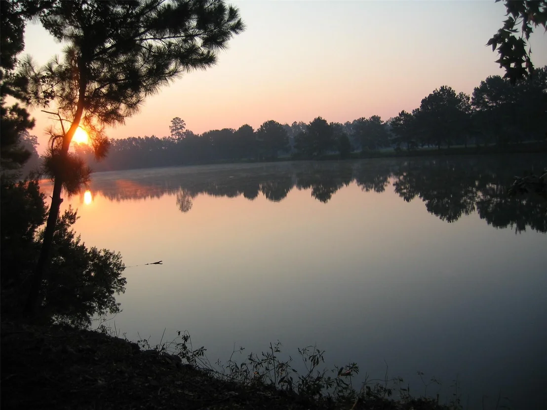 Photo of 61 Cedar Ridge