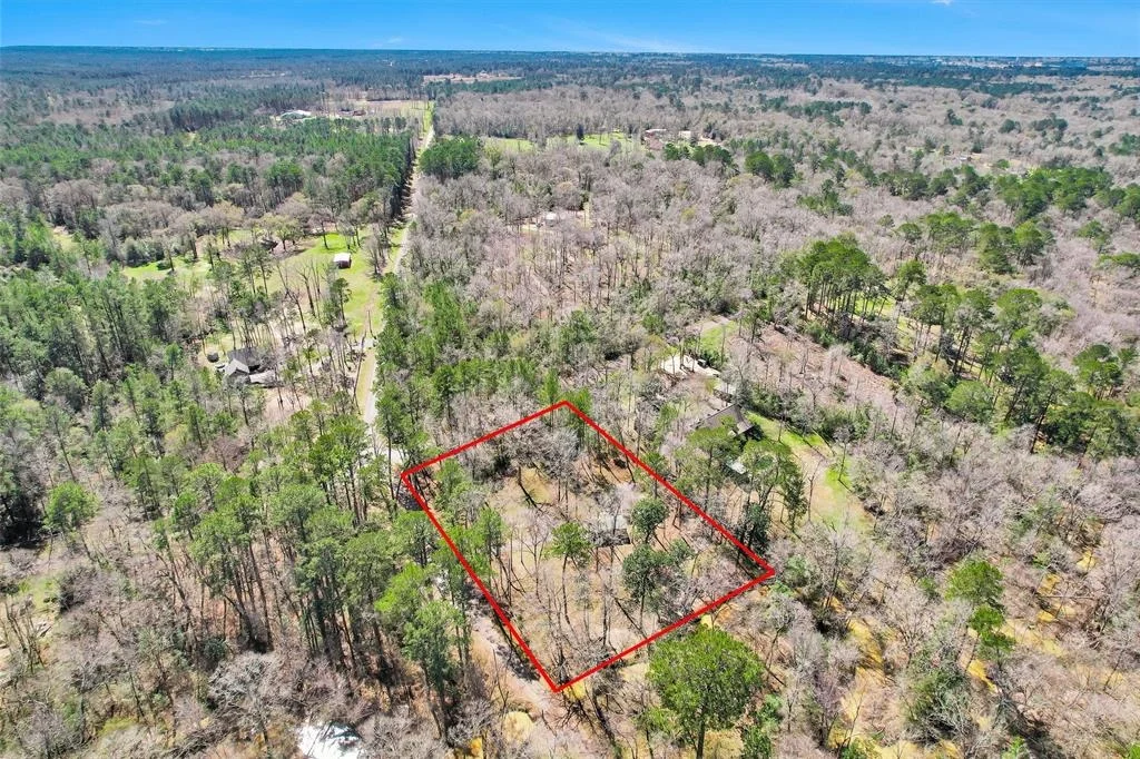 Photo of 11163 Magnolia Drive