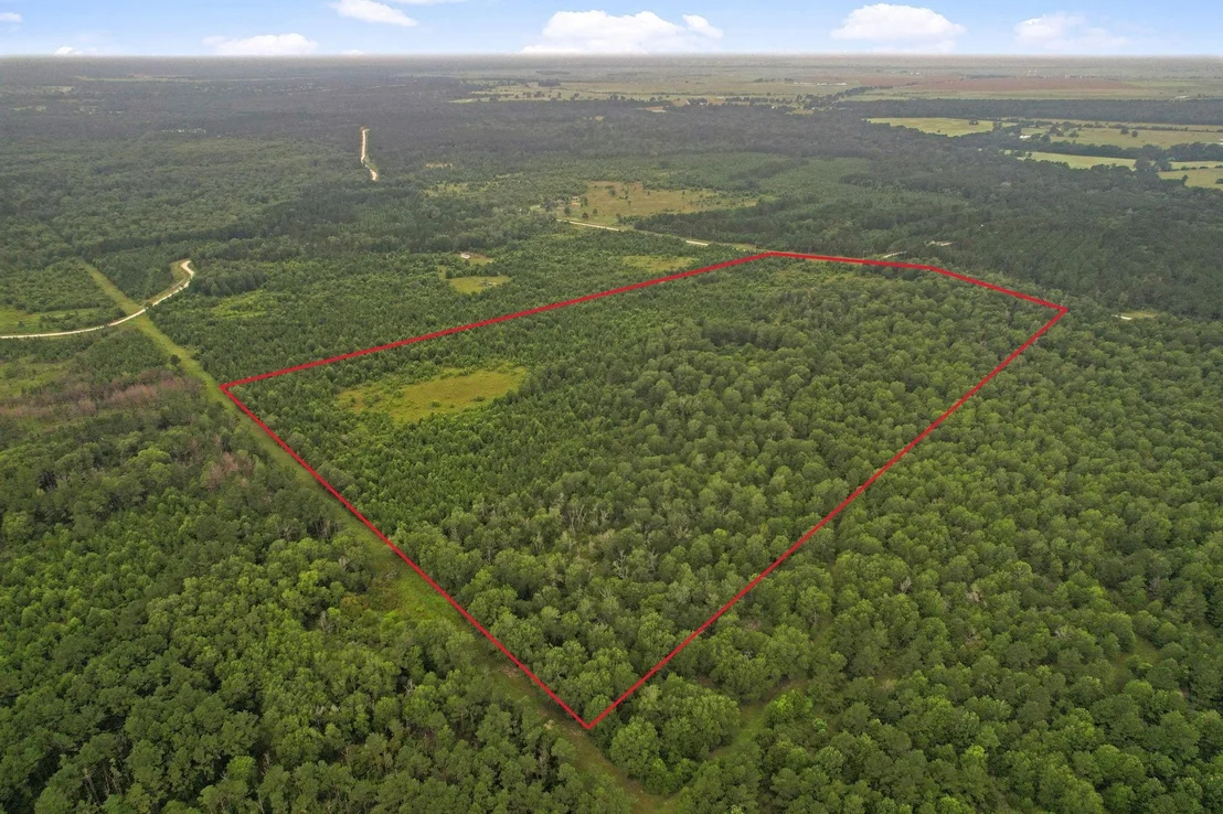 Photo of Tract 35 Fm 230
