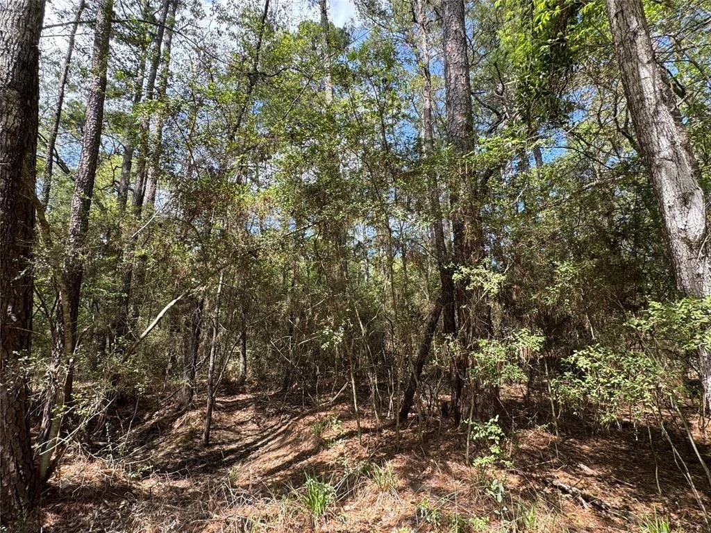 Photo of TBD02 Westwood Drive E