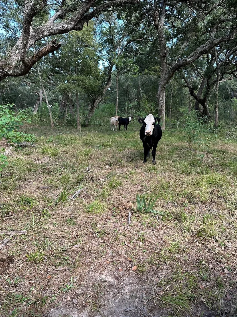 Photo of 0 Fm-1459