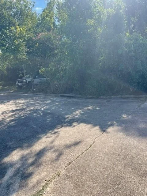 Photo of 11406 Spicewood Lane