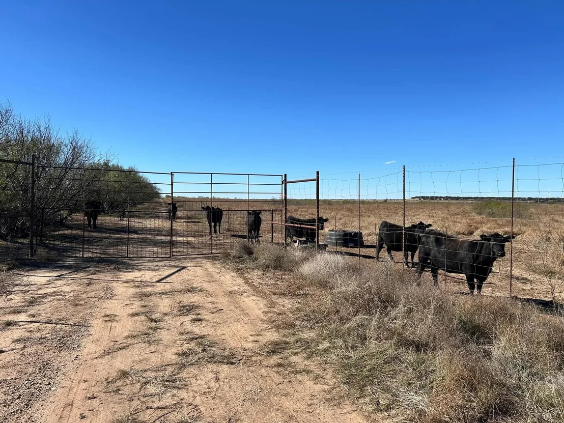 Photo of LOT 2 Us 283