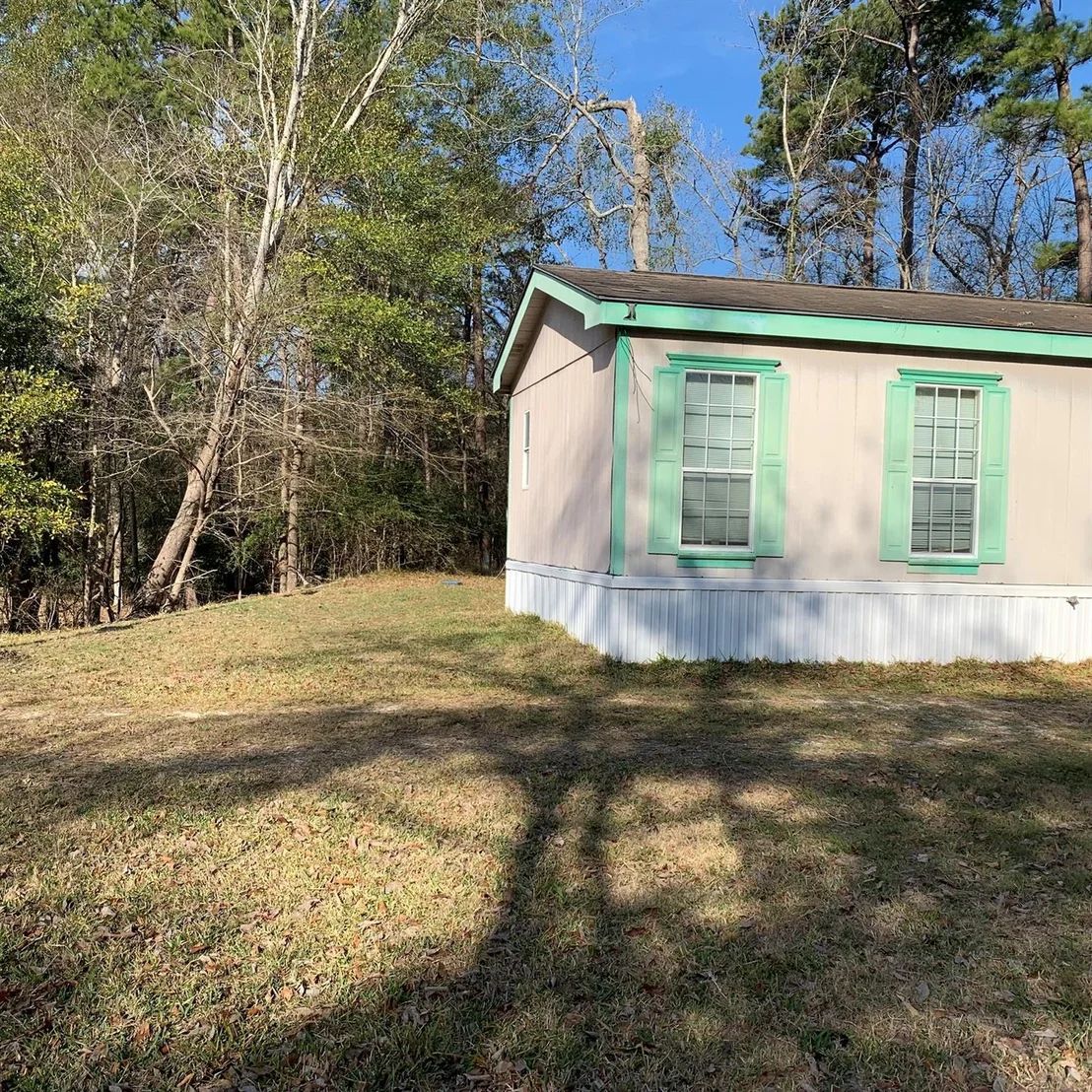 Photo of 202 Armadillo T