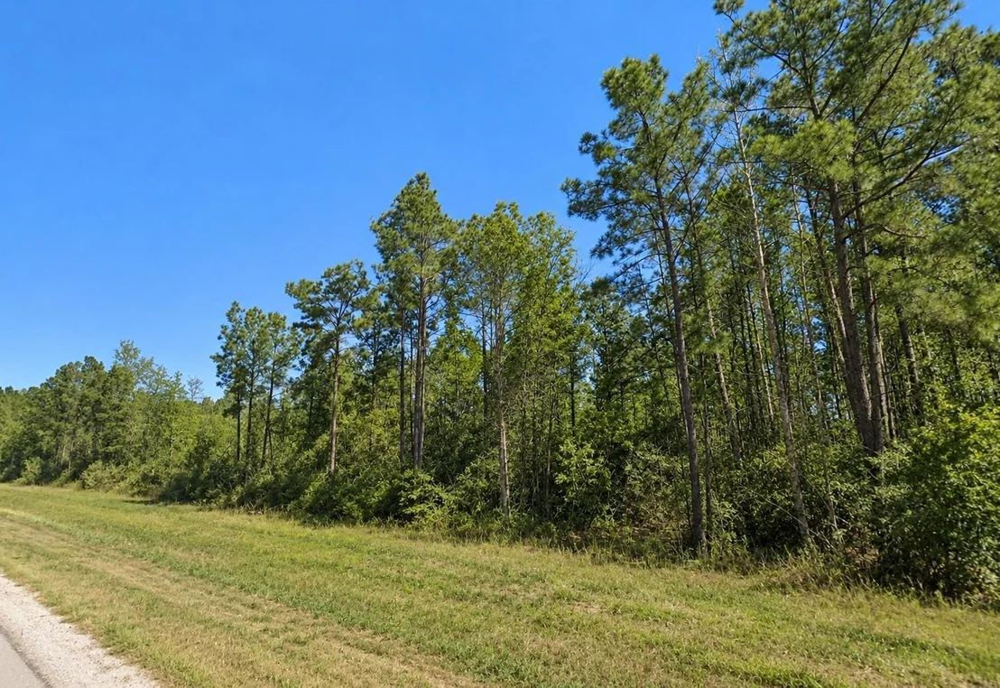 Photo of 11631 Grand North Road