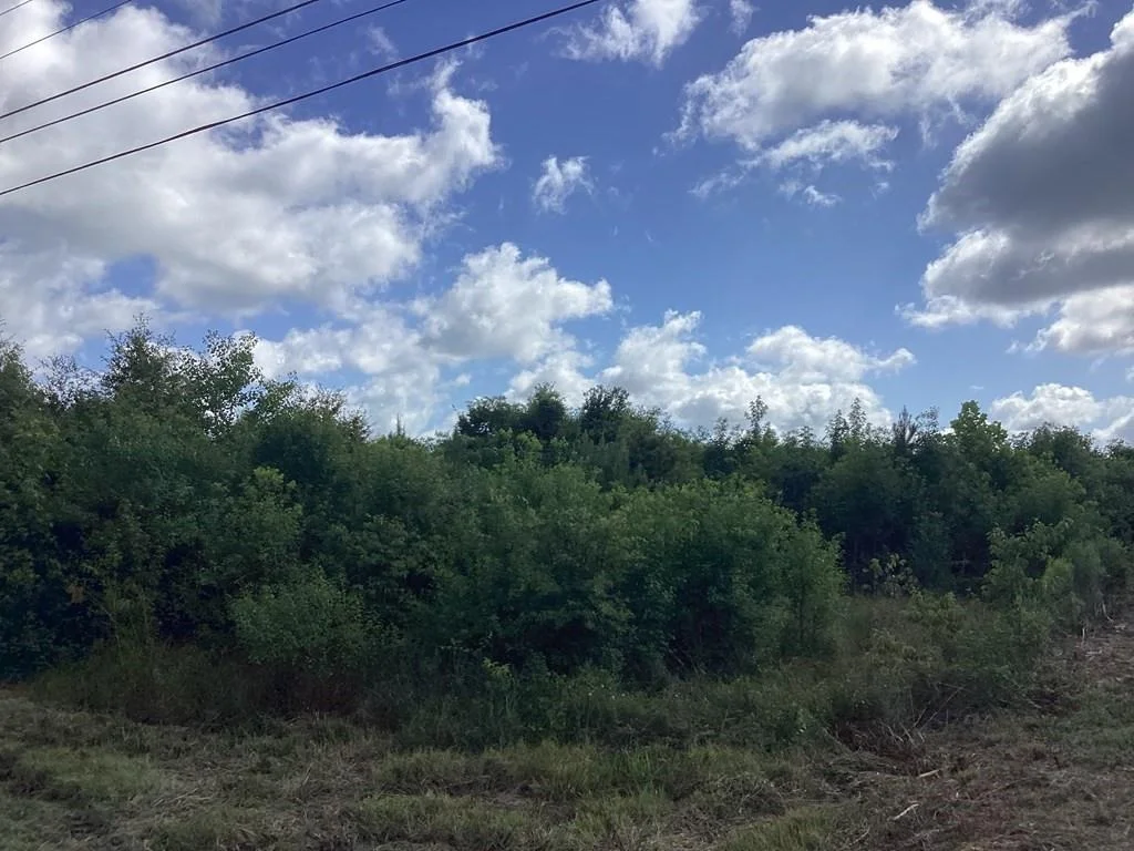 Photo of 1900 E E Hwy 190