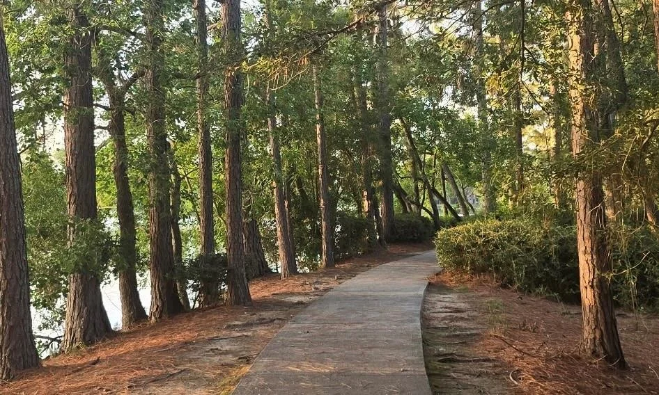 Photo of 6818 Ashton Pines Lane
