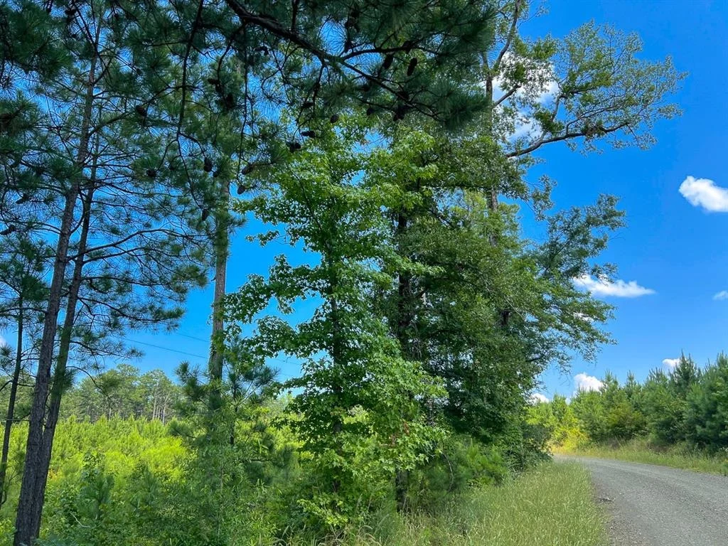 Photo of 02 Fire Tower Road