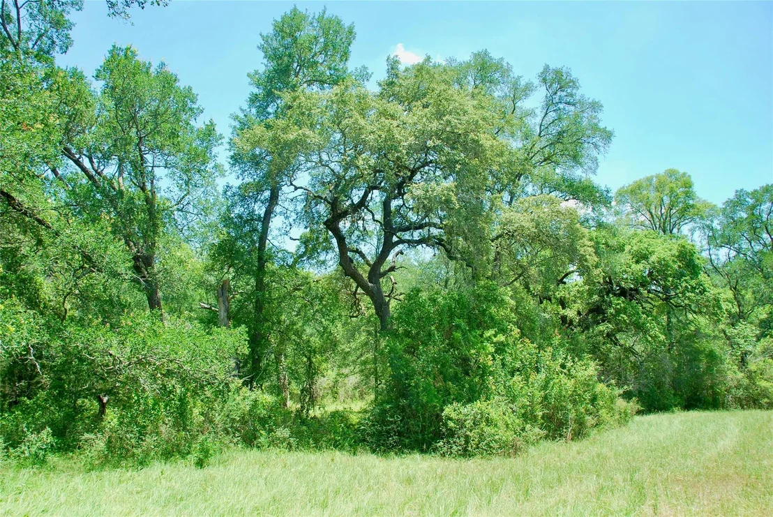 Photo of 2116 Langdon Road