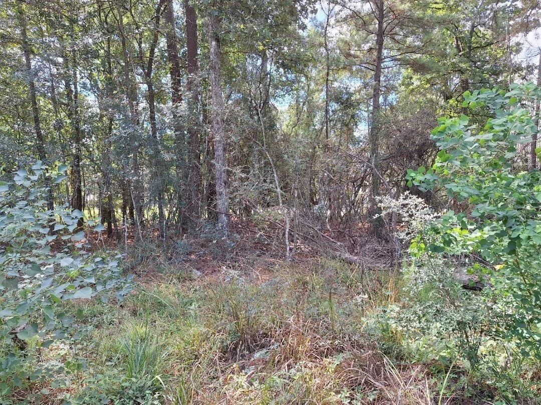 Photo of 1023 Weisinger Drive