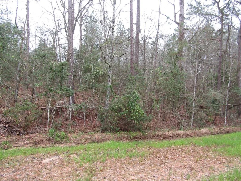 Photo of 0 E Acorn Drive