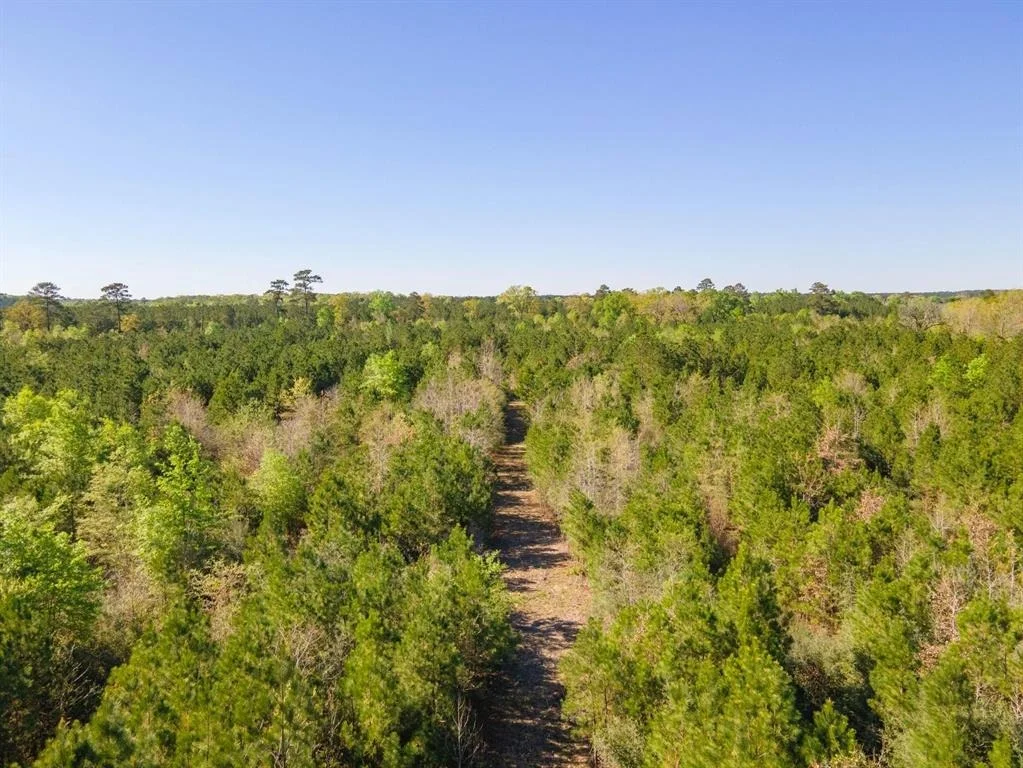 Photo of TBD 2 Robert Jones Rd