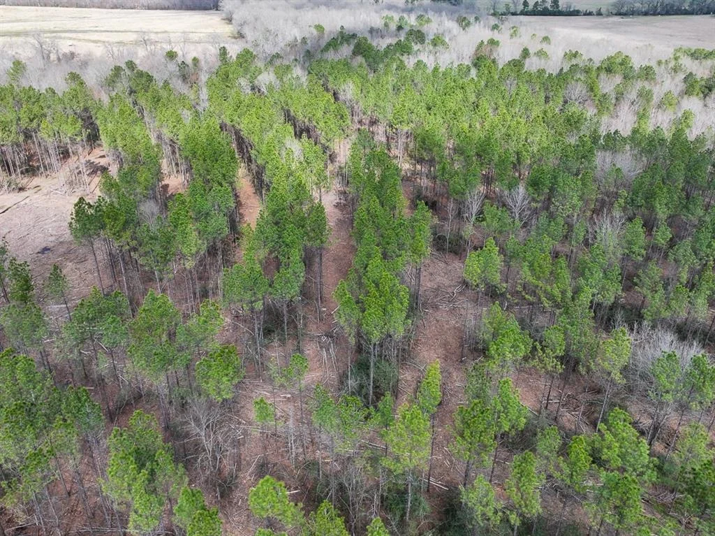 Photo of TBD Off Fm 355