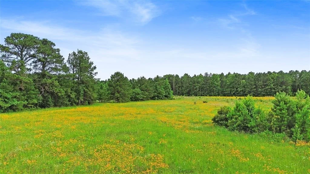 Photo of 877 Josserand Road