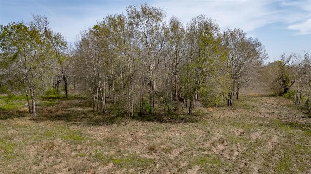Photo of 7211 County Road 194