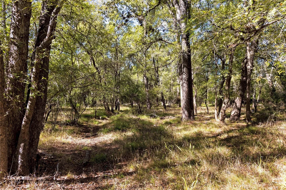Photo of 202 County Road 142b