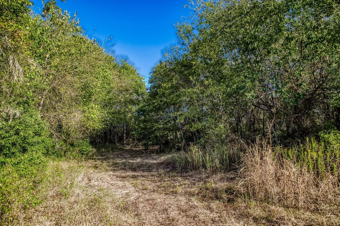 Photo of 460 County Road 328