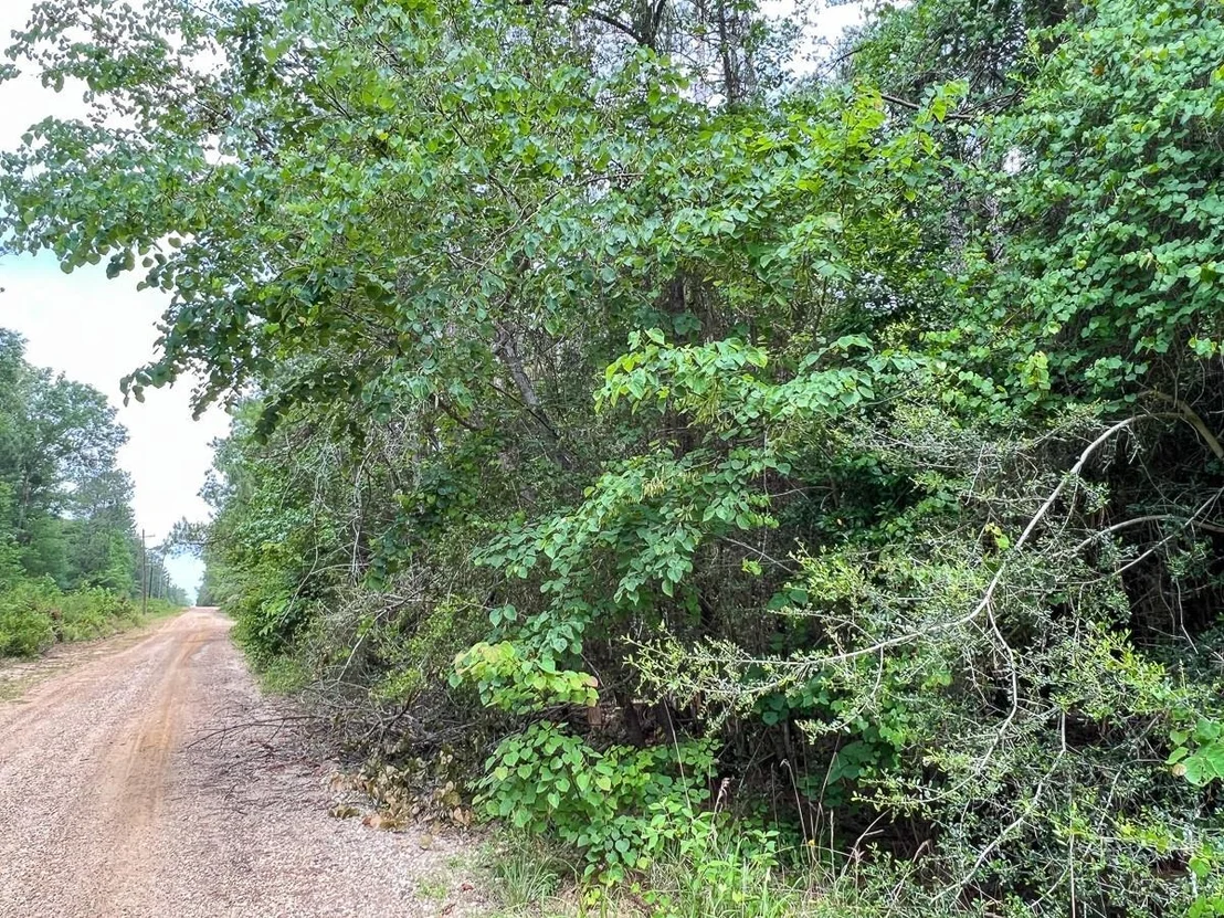 Photo of 013 Old Arco Rd
