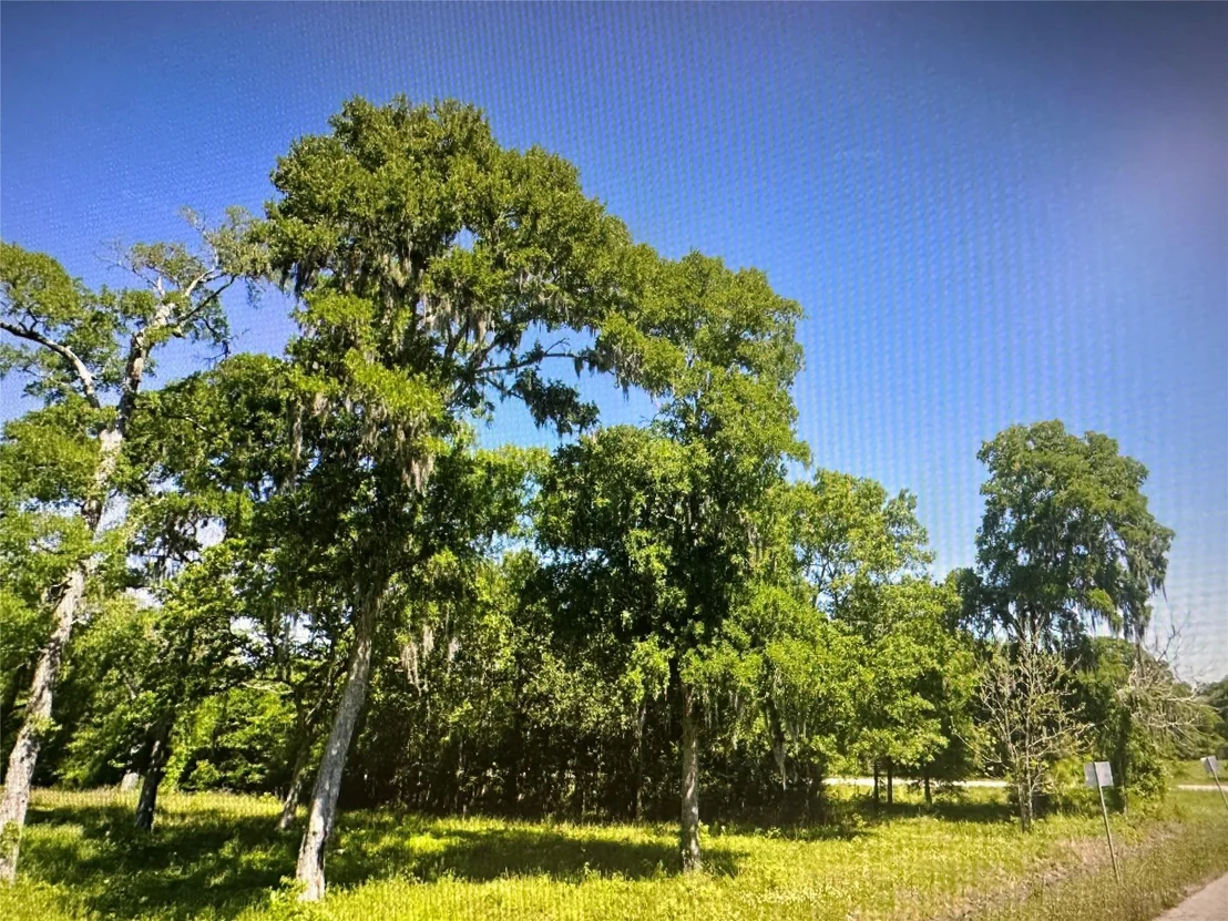 Photo of 969 County Road 525