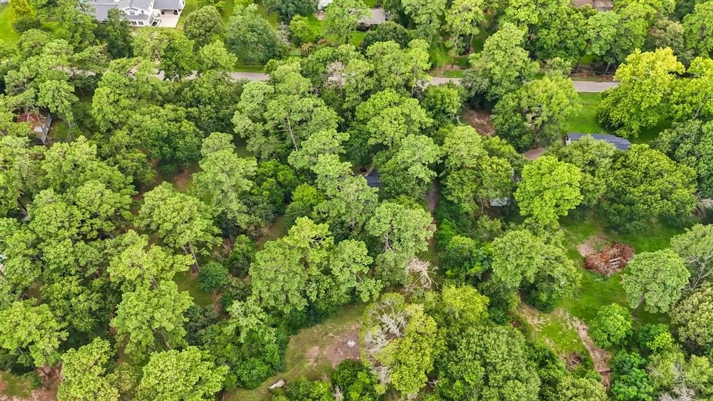 Photo of 22034 Pine Tree Lane