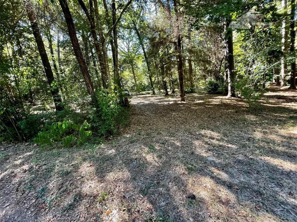 Photo of 11451 White Road