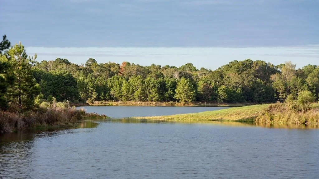 Photo of 5021 David Pines Court