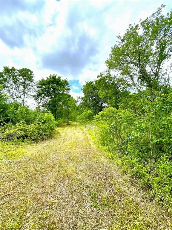 Photo of 5135 County Road 288