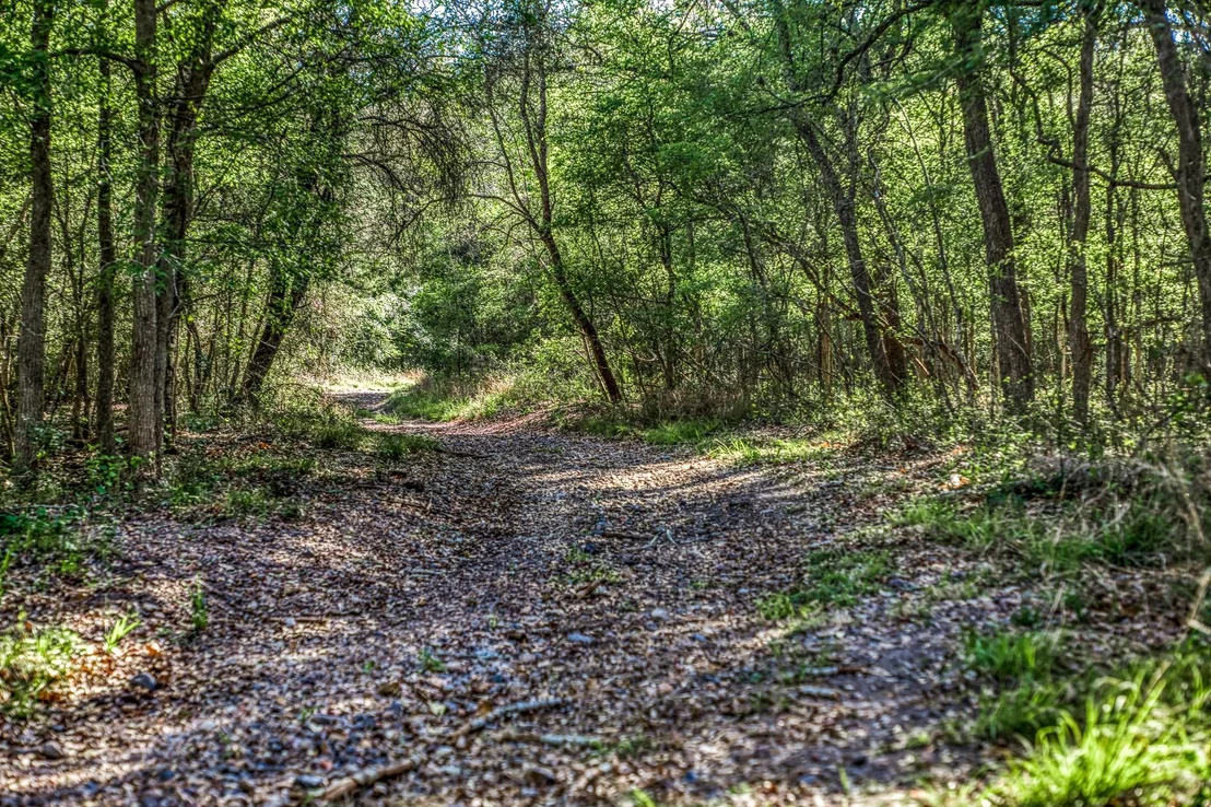 Photo of 687 County Road 340