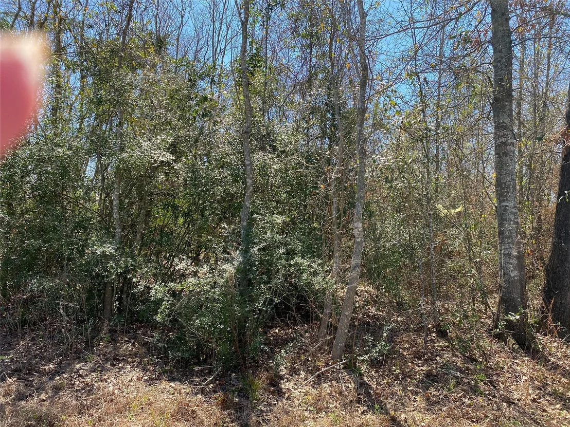 Photo of 424 County Road 3570