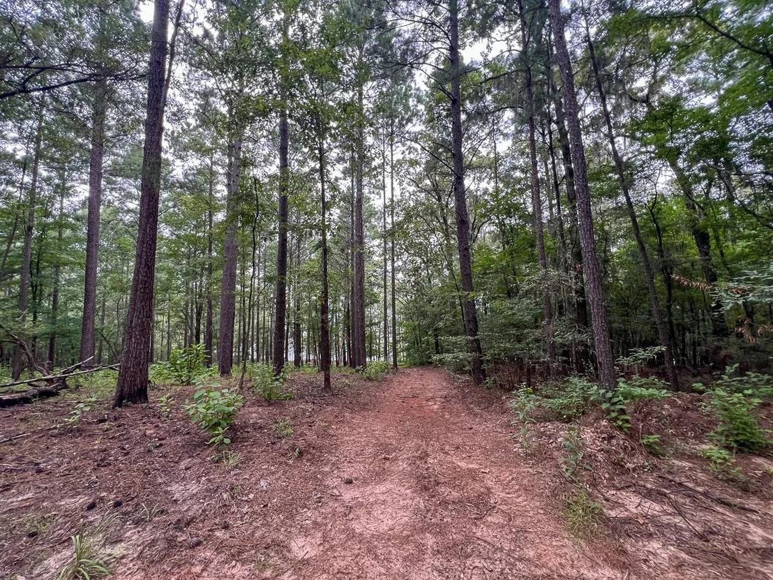 Photo of 4.5 Arledge Trail/Off Gateway Meadows